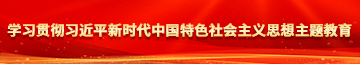 日本美女靠比网站学习贯彻习近平新时代中国特色社会主义思想主题教育